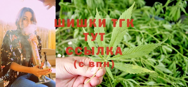 шишки Баксан