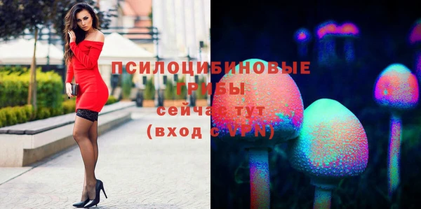 шишки Баксан