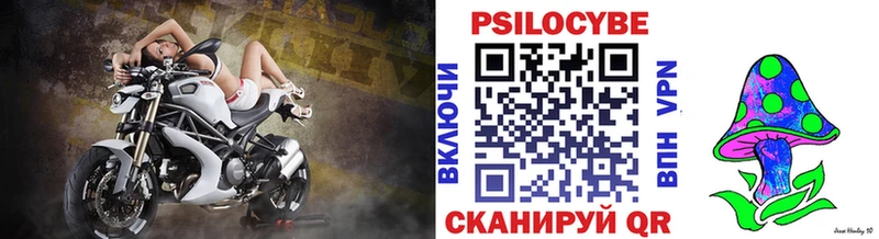 Купить закладки  Почеп  Псилоцибиновые грибы Psilocybe 