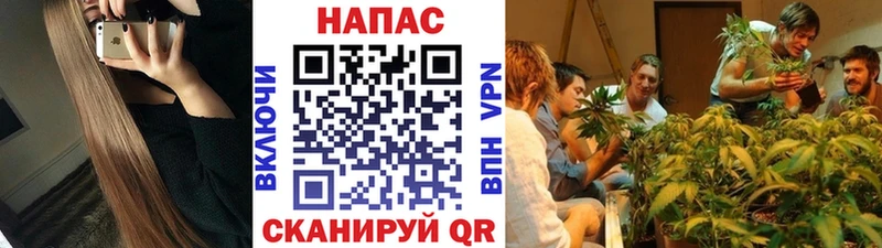 Купить закладки  Почеп  Марихуана тримм 